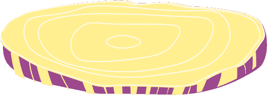 Onion slice