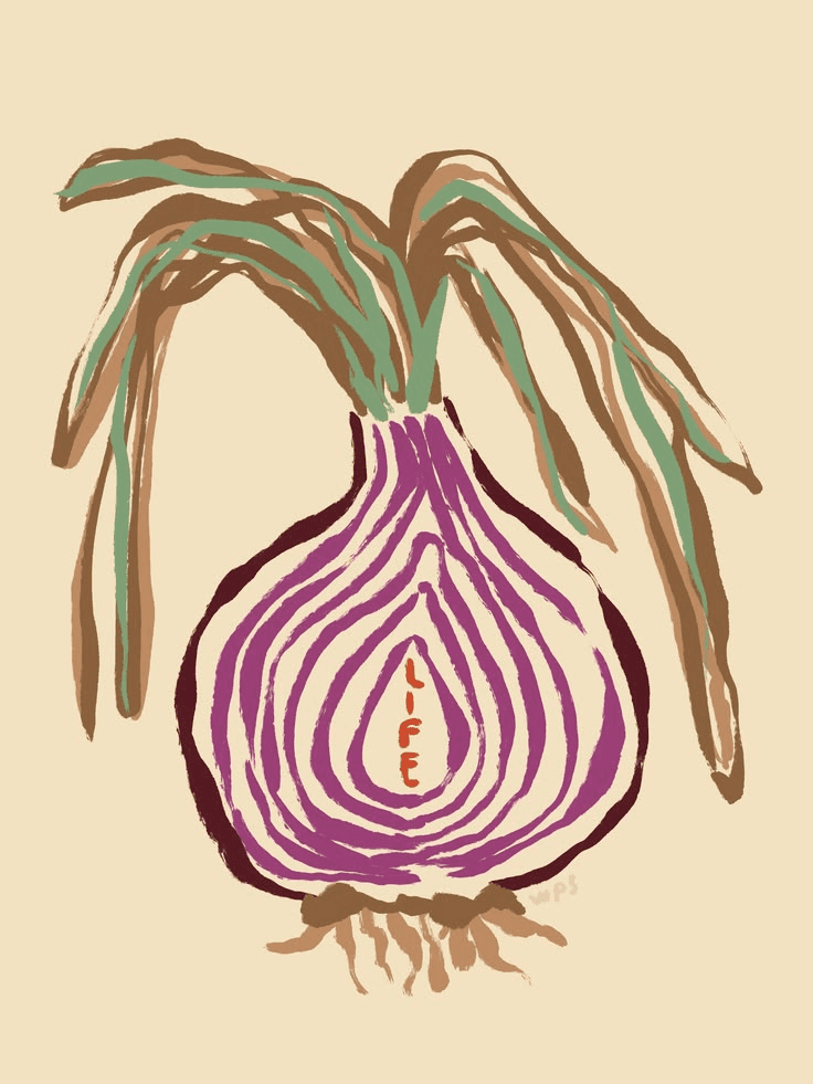 Onion sketch illustration