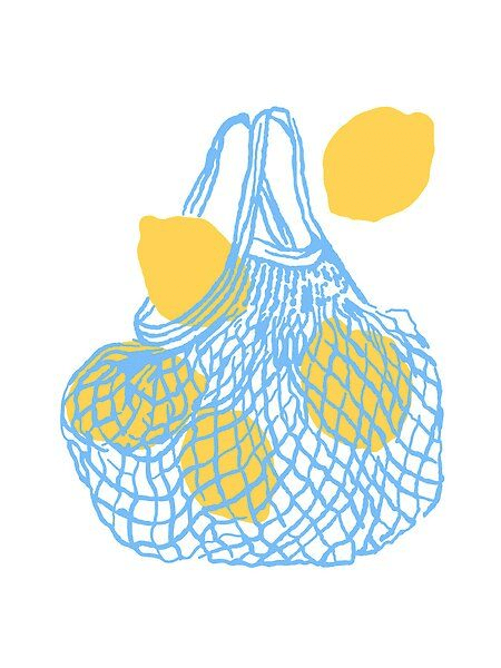 Lemons in a net bag illustration
